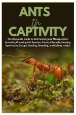 Ants in Captivity