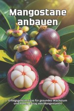 Mangostane anbauen
