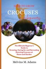 How to grow Crocuses flower for beginners