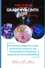 How to grow Grape Hyacinth flower for beginners