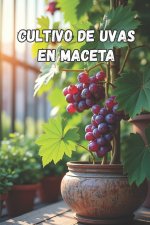 Cultivo de uvas en maceta