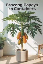 Growing Papaya in Containers