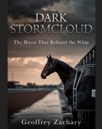 DARK STORMCLOUD