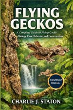 FLYING GECKOS