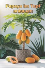 Papaya im Topf anbauen