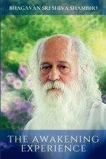 The Awakening Experience