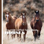 The Little Coffee Table Book