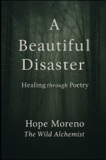 A Beautiful Disaster