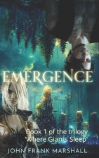 Emergence