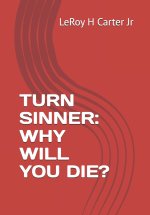 TURN SINNER