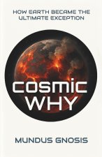 Cosmic Why