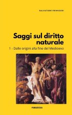 Saggi sul diritto naturale