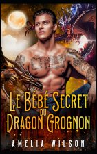 Le Bébé Secret du Dragon Grognon
