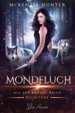 Mondfluch