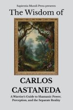 The Wisdom of Carlos Castaneda