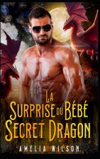 La Surprise du Bébé Secret Dragon