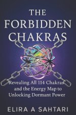 THE FORBIDDEN CHAKRAS