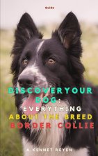 Discover your Dog