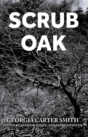 Scrub Oak