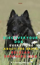 Discover your Dog