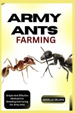 ARMY ANTS FARMING