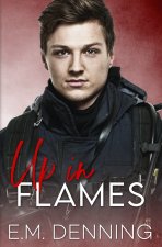 Up In Flames