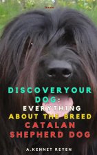 Discover your Dog
