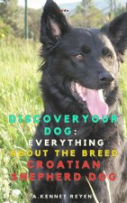 Discoveryour dog