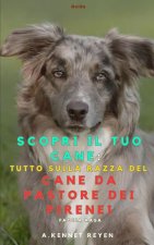 Scopri il tuo Cane