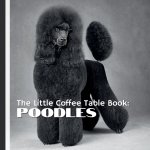The Little Coffee Table Book