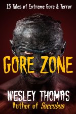 GORE ZONE