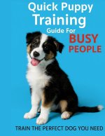 Quick Puppy Training Guide For Busy People