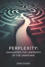 PERPLEXITY
