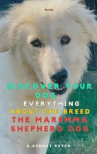 Discover your Dog
