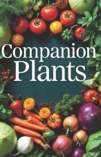 Companion Plants