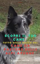Scopri il tuo Cane