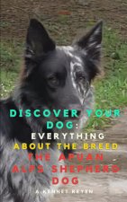 Discover your Dog