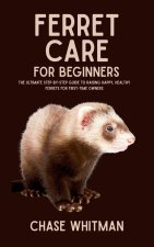Ferret Care for Beginners
