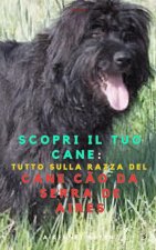 Scopri il Tuo Cane