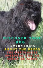 Discover your Dog
