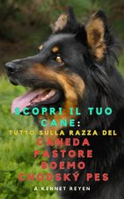 Scopri il tuo Cane