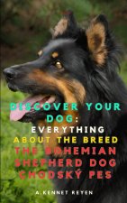 Discover your Dog