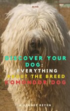 Discover your Dog