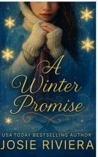 A Winter Promise