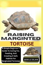 RAISING MARGINTED TORTOISE