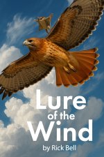 Lure of the Wind
