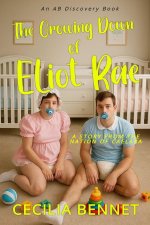 The Growing Down Of Eliot Rae