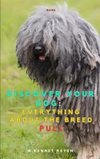 Discover your Dog