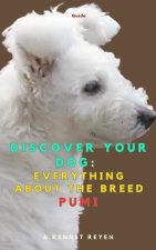 Discover your Dog