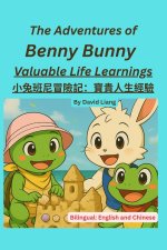 The Adventures of Benny Bunny